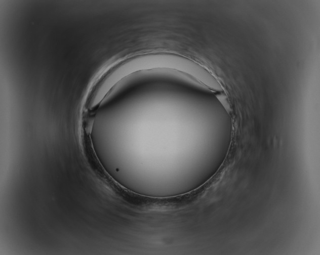 X0000086780248200705111800