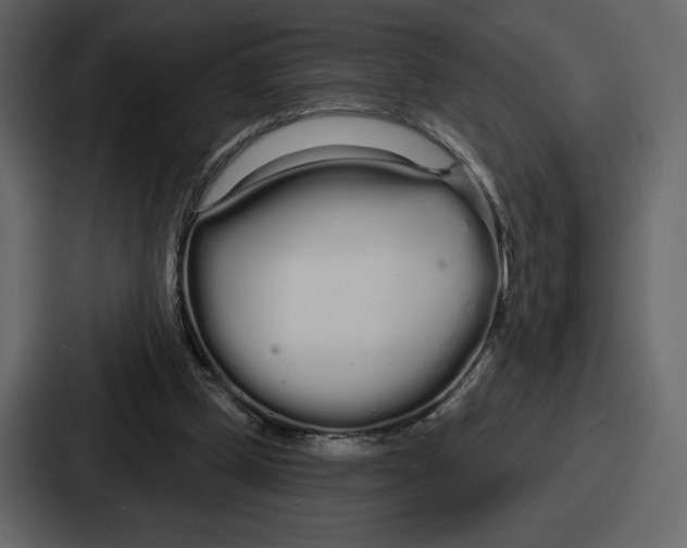 X0000086780249200705111800