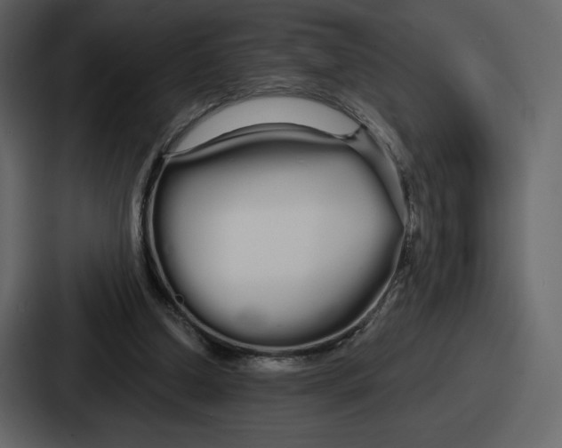 X0000086780250200705111800