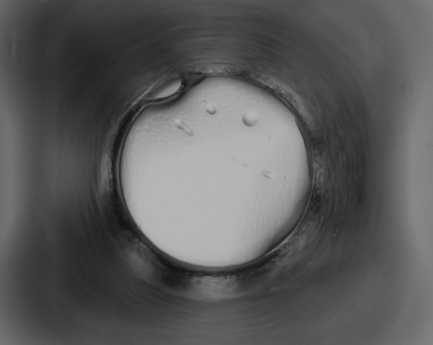 X0000086780251200705111800