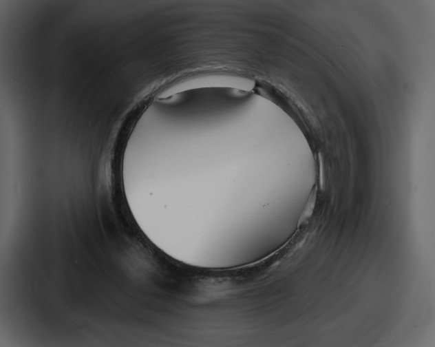 X0000086780252200705111800