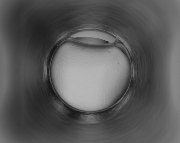 X0000086780253200705111801