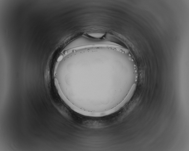 X0000086780254200705111801