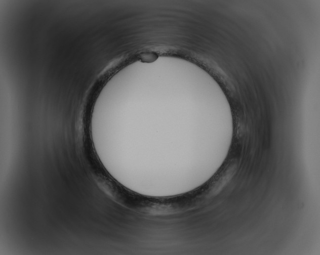 X0000086780256200705111801