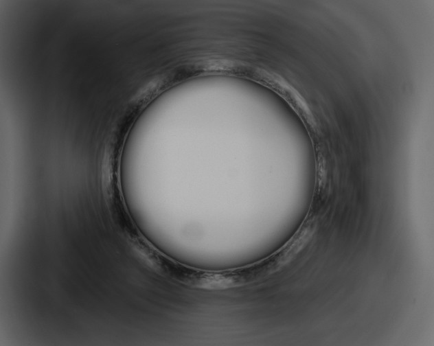 X0000086780257200705111801