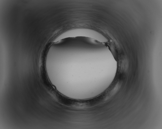 X0000086780260200705111801