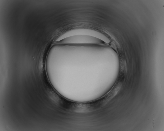 X0000086780261200705111801