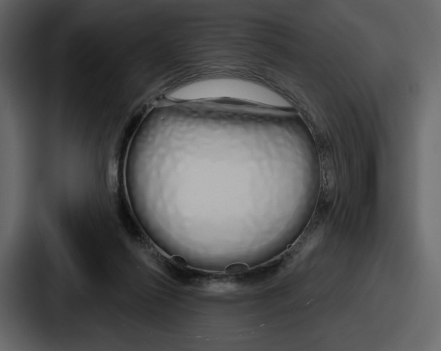 X0000086780262200705111801