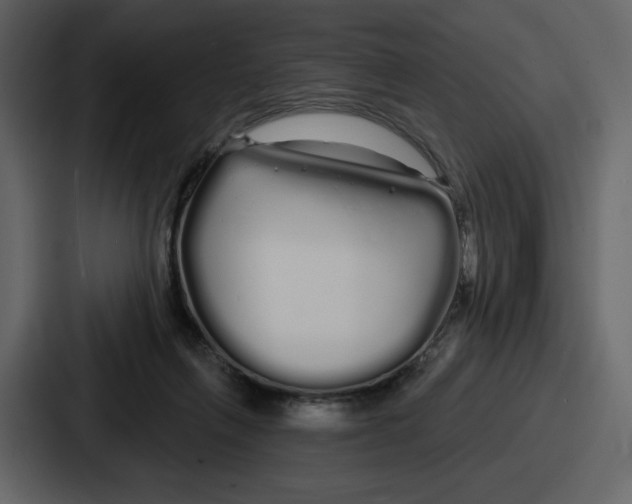 X0000086780263200705111801