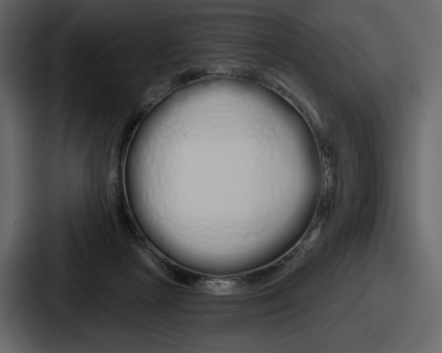 X0000086780265200705111801