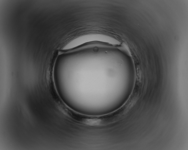 X0000086780266200705111801