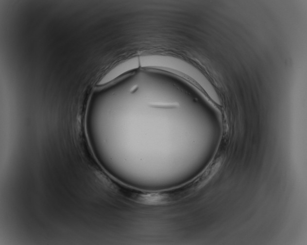 X0000086780269200705111801