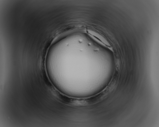 X0000086780270200705111801