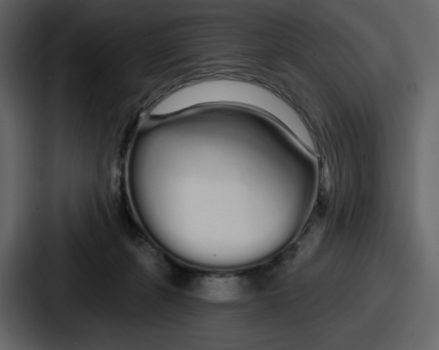 X0000086780271200705111801