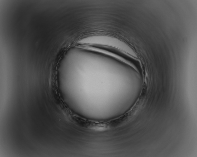 X0000086780272200705111801