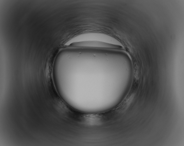 X0000086780273200705111801