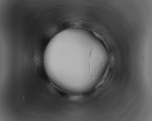 X0000086780274200705111801