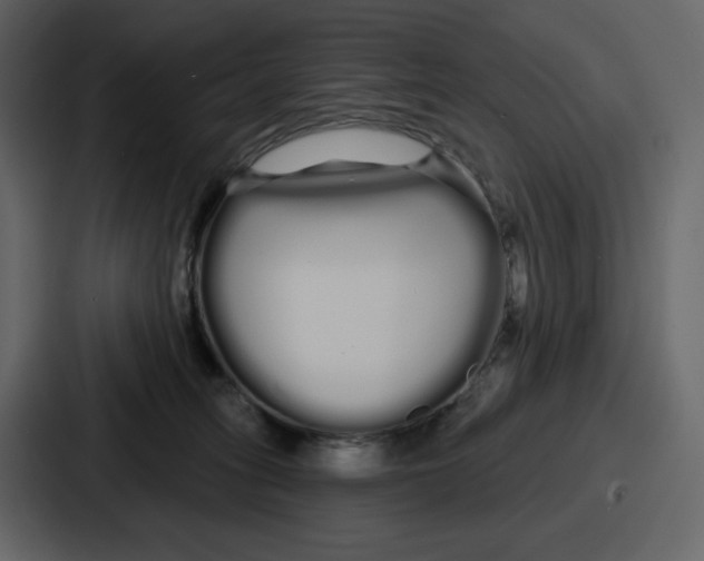 X0000086780275200705111801