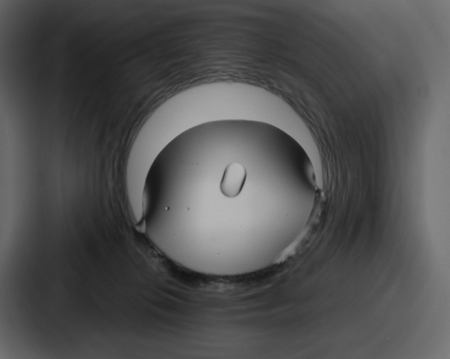 X0000086780276200705111801