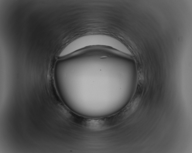 X0000086780277200705111801