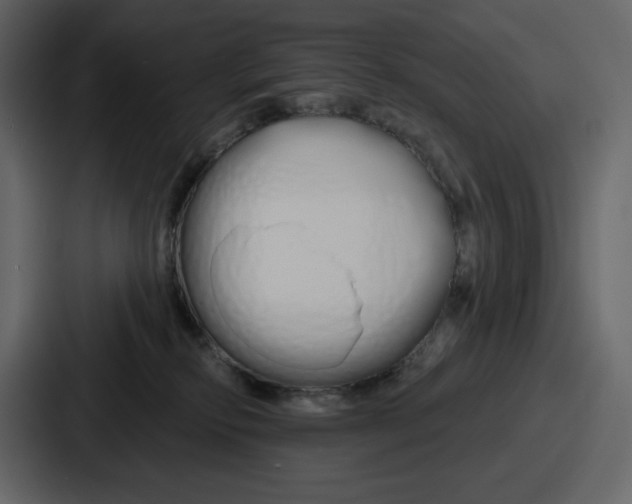 X0000086780278200705111801