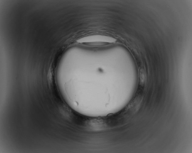 X0000086780279200705111801