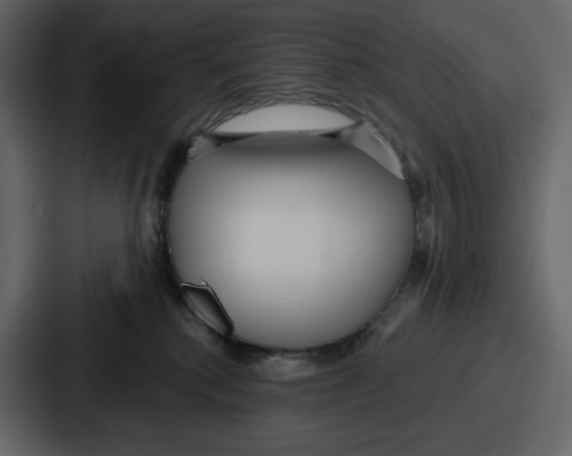 X0000086780280200705111801