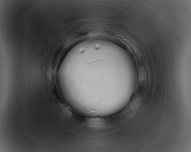 X0000086780281200705111801