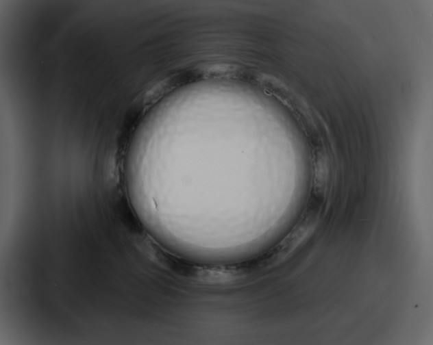 X0000086780282200705111801