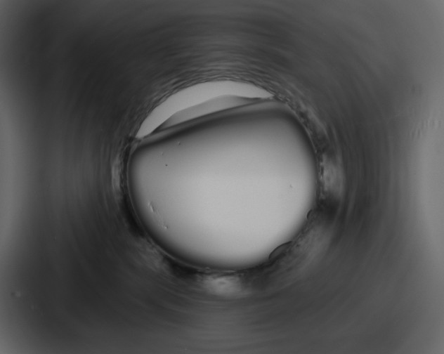 X0000086780283200705111801