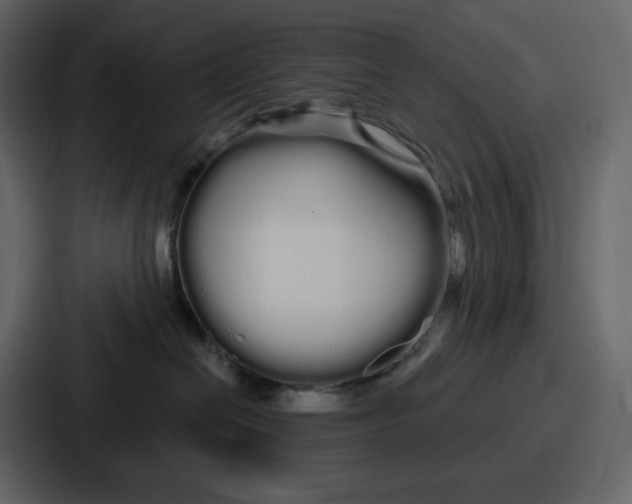 X0000086780286200705111801