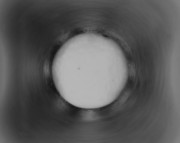 X0000086780287200705111801