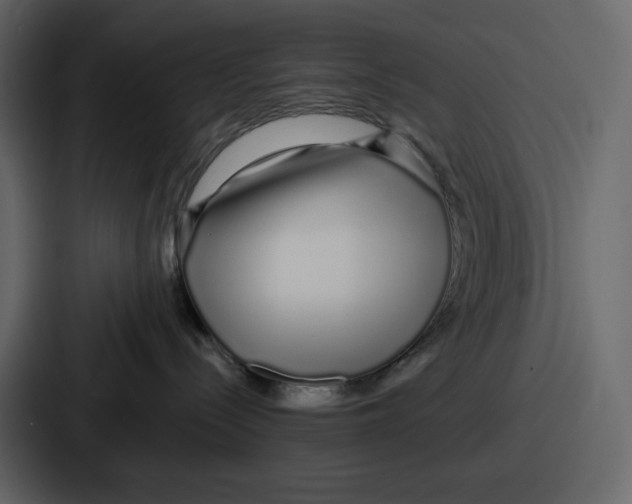 X0000086780288200705111801