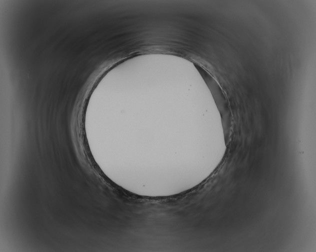 X0000086780289200705111800