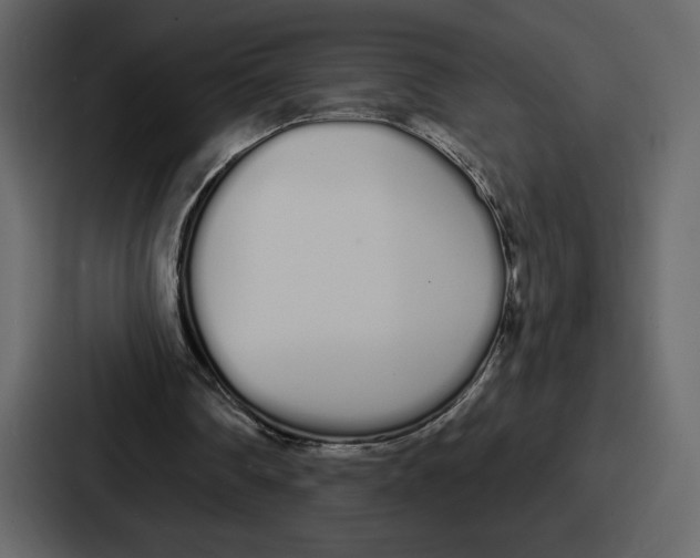 X0000086780290200705111800