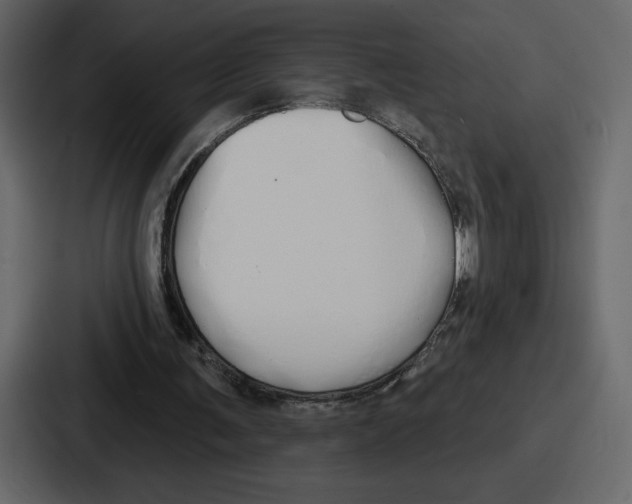 X0000086780291200705111800