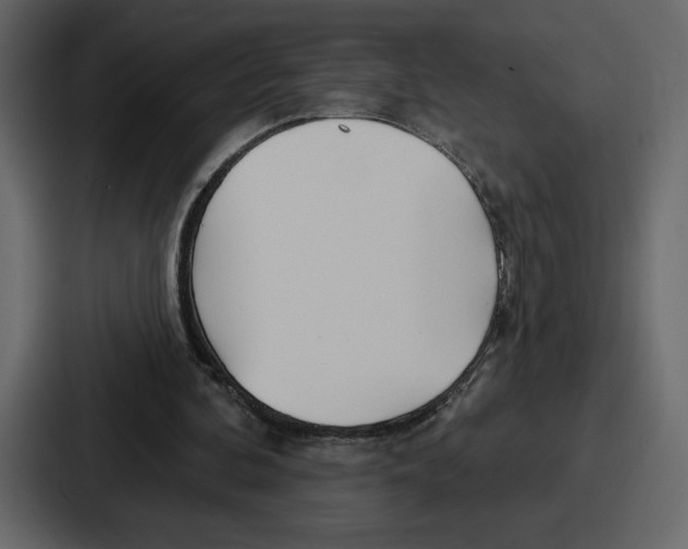 X0000086780292200705111800