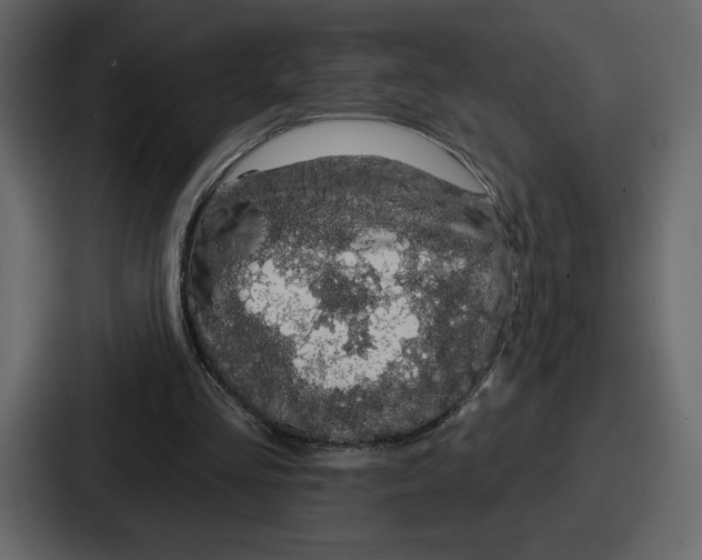 X0000086780293200705111800