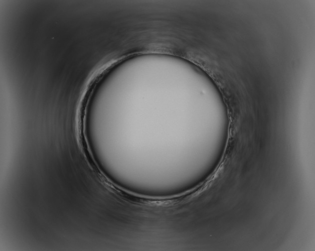 X0000086780294200705111800