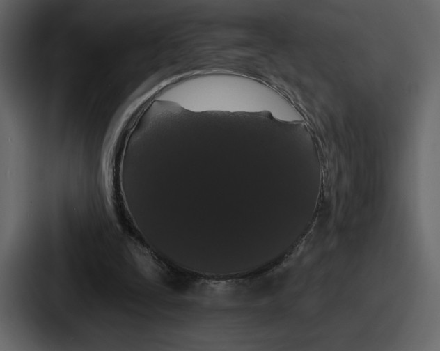 X0000086780295200705111800