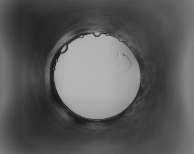 X0000086780296200705111800