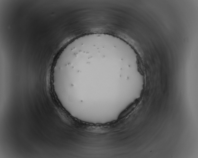 X0000086780297200705111800