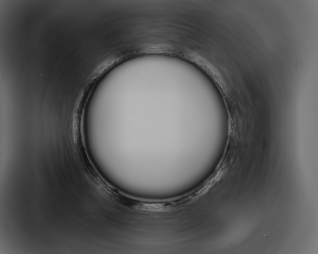 X0000086780298200705111800