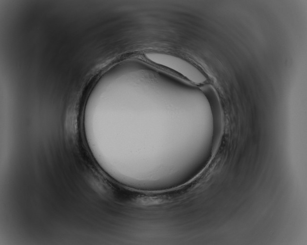 X0000086780299200705111800