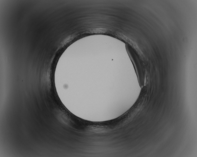 X0000086780300200705111800