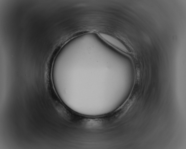 X0000086780303200705111800