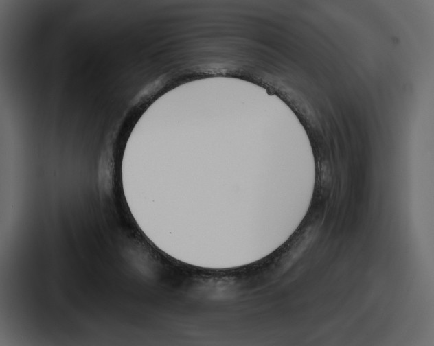 X0000086780304200705111800