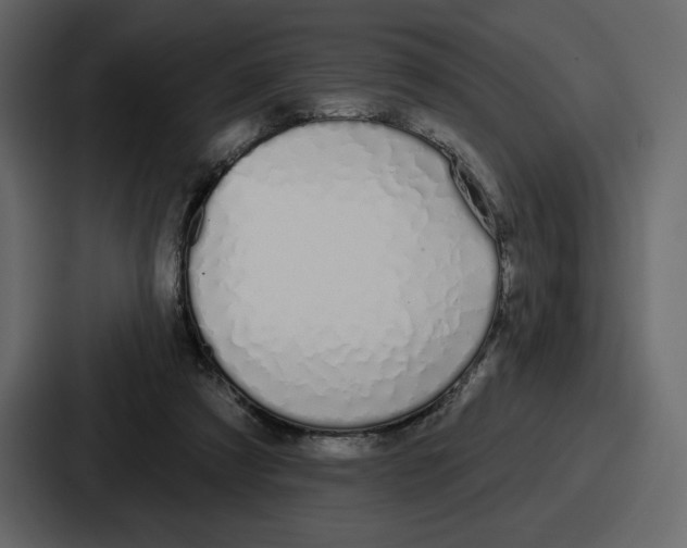 X0000086780305200705111800