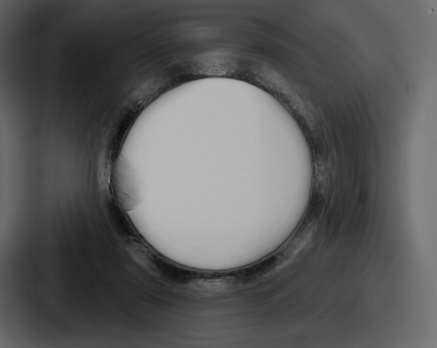 X0000086780307200705111800