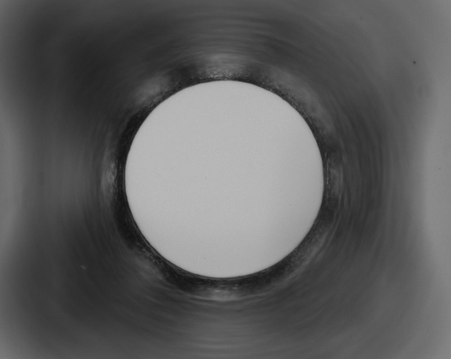 X0000086780308200705111800